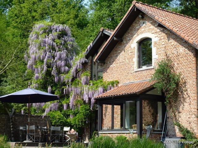 Cosy Lodge Dilbeek Exterior foto